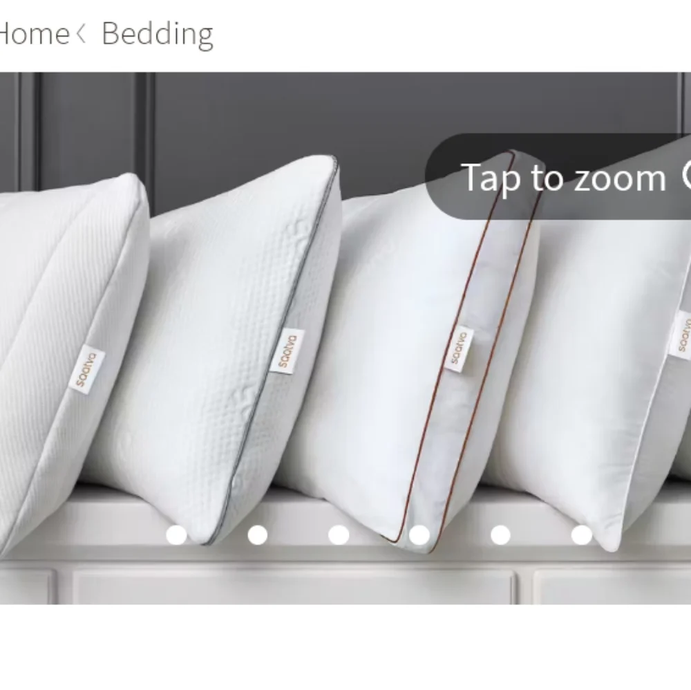 Set of 2 New Saatva Pillow